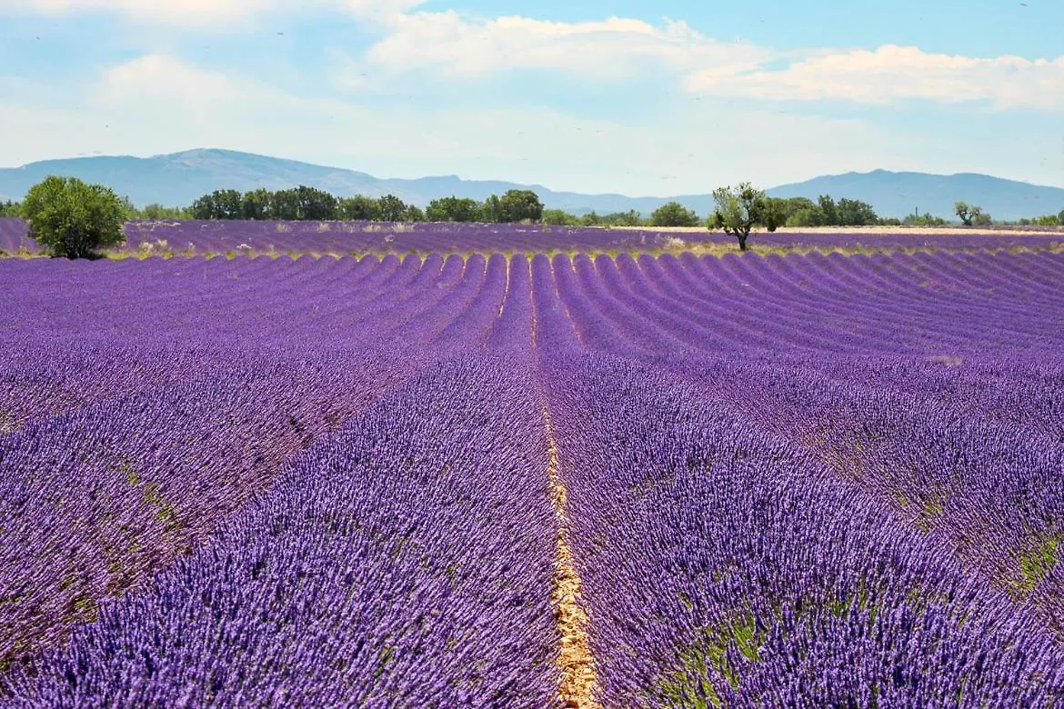 Chambres d'hôtes dans la campagne de Rognes